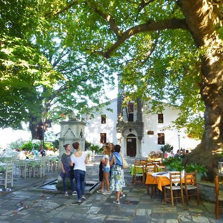 Archontiko Michael Pelion Aparthotel Vizitsa Exterior photo